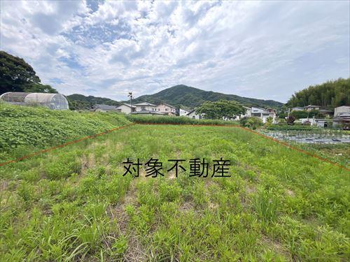 現地（2025年6月撮影）