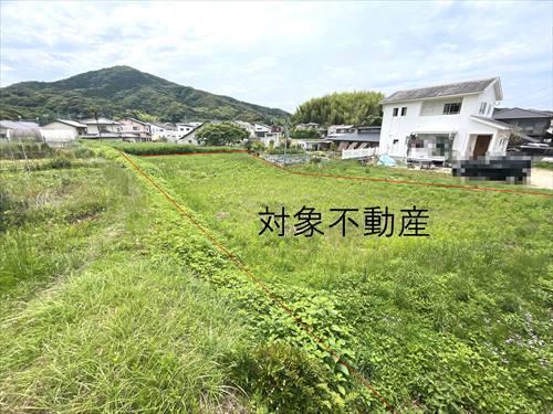 現地（2025年6月撮影）