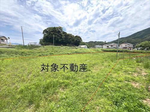 現地（2025年6月撮影）