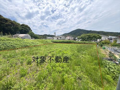 現地（2025年6月撮影）