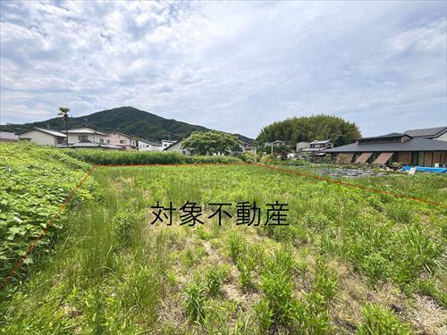 現地（2025年6月撮影）