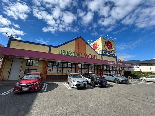 ドラッグストアモリ南片江店（790ｍ）