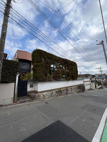 現地写真（南西から）