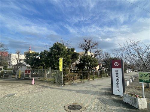 御笠の森小学校