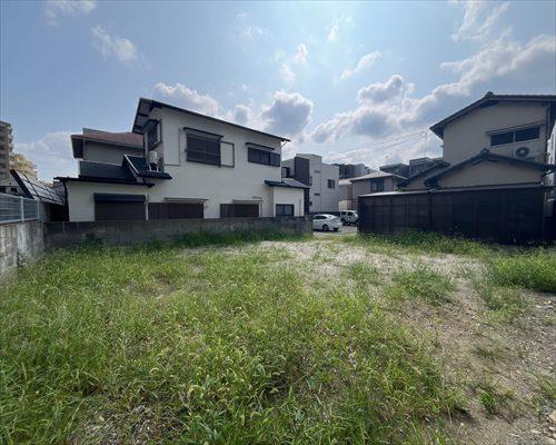 現地写真