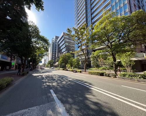 南側前面道路（東から）