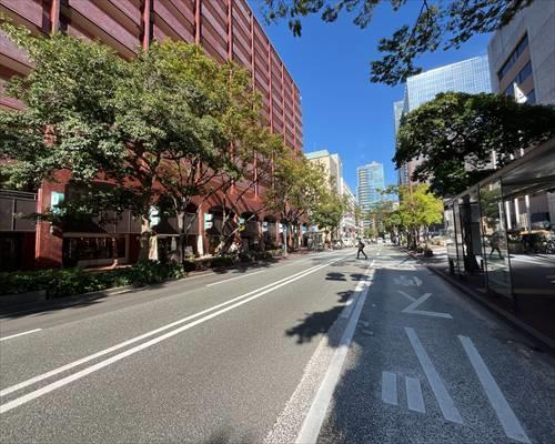 南側前面道路（西から）