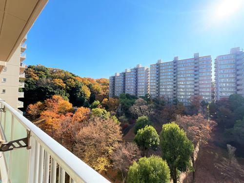 南側バルコニーからの眺望