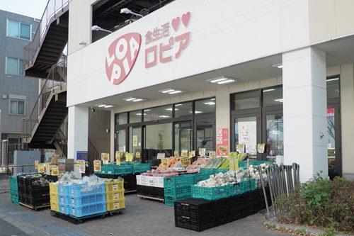 スーパーバリューロピア松原店 240m