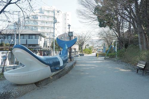 玉川上水公園 550m