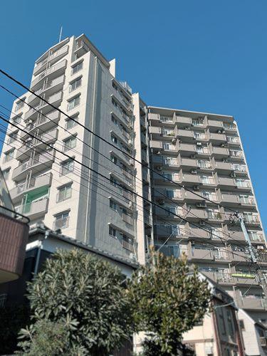 現地（2026年1月 撮影）