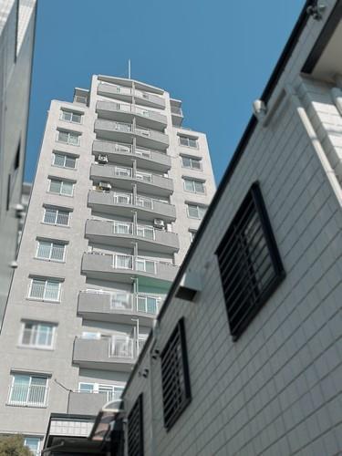 現地（2026年1月 撮影）