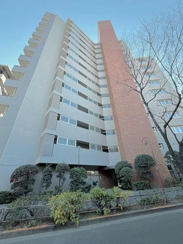 現地（2026年1月 撮影）