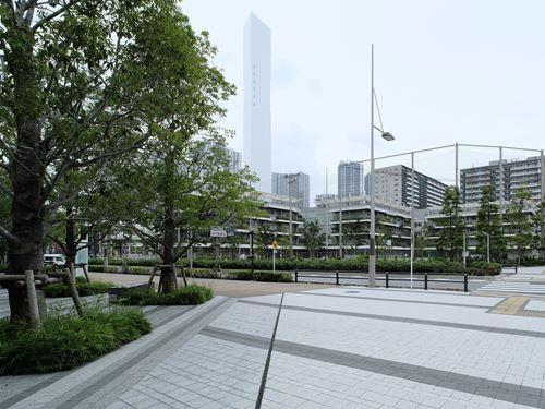 中央区立晴海西中学校 760m