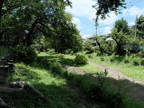 玉川上水永泉寺緑地 340m