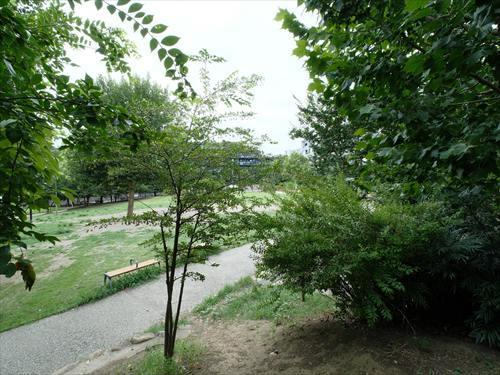中野区立本二東郷やすらぎ公園 150m