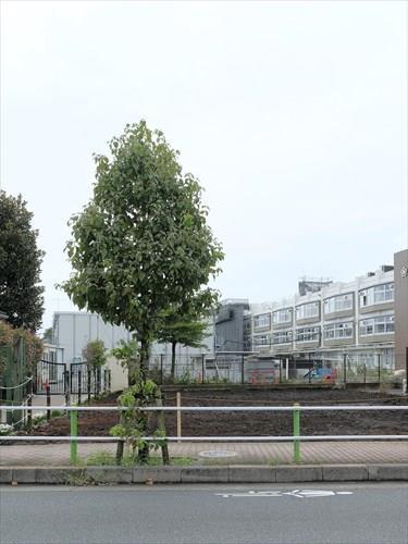板橋区立赤塚小学校 350m