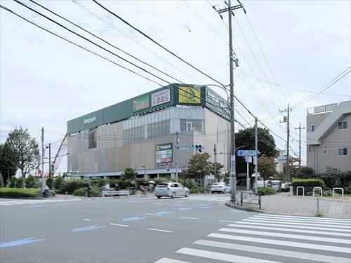 いなげや武蔵野関前店 700m