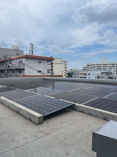 屋上(2025年5月撮影）