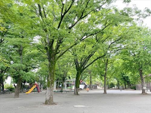 新宿区立落合公園(160m)