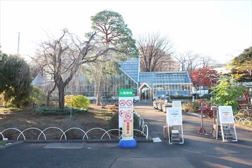 東京都薬用植物園(830m)