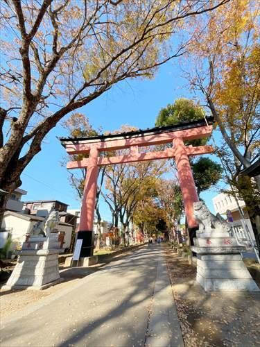 氷川参道(780m)