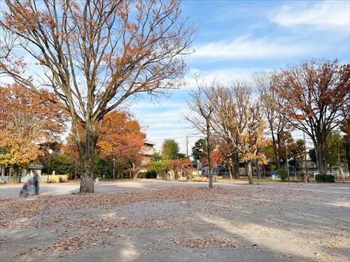 中野区立江原公園(200m)