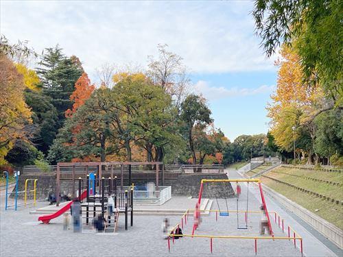 江古田の森公園(750m)