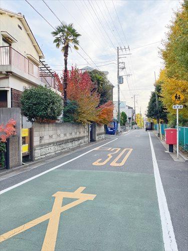 現地西側前面道路(2024年12月撮影）