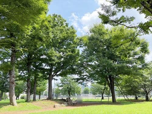 中野区立本五ふれあい公園(360m)