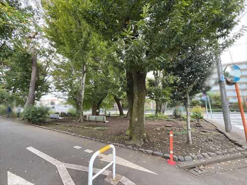 上宿緑地　400ｍ