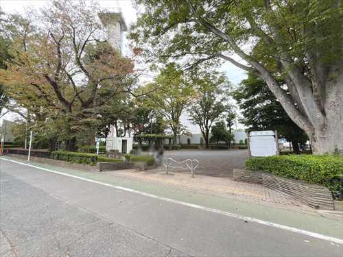 若葉緑地　650ｍ