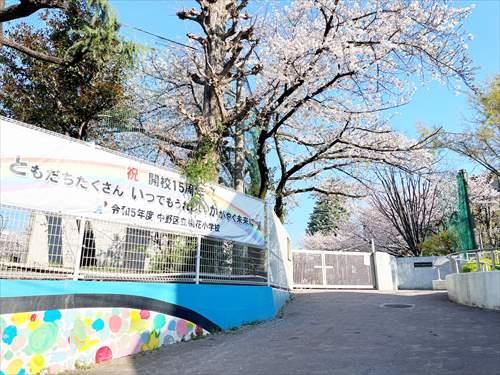 中野区立桃花小学校(520m)