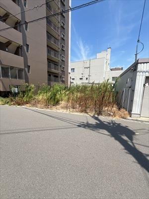 現地