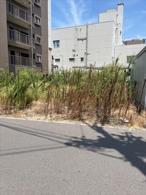 現地