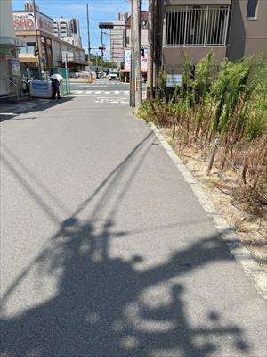 南側前面道路