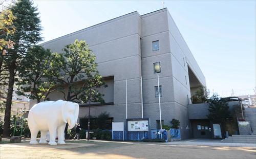 練馬区立美術館まで600m