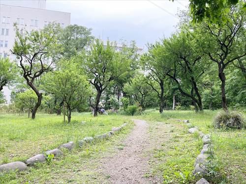 武蔵台公園まで1000ｍ