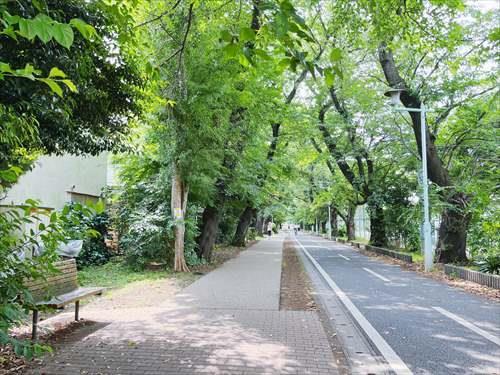 保谷狭山自然公園自転車道まで300m