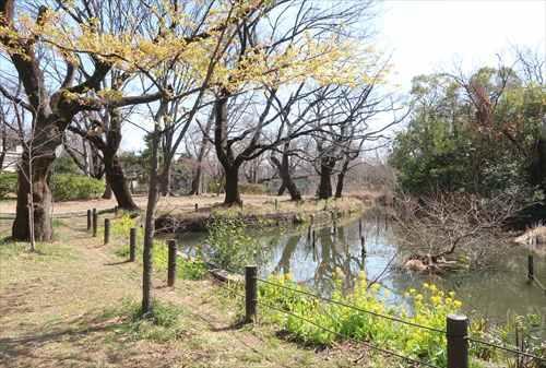 善福寺公園まで450ｍ