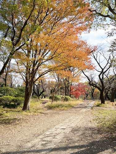 善福寺公園 まで500ｍ