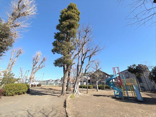 栄町公園まで110m