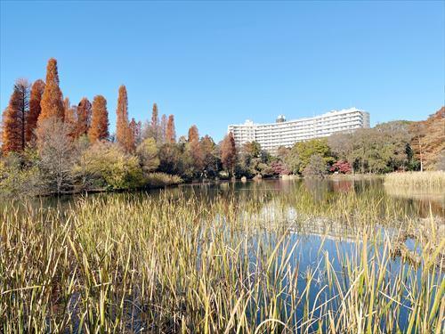 井の頭恩賜公園まで1200ｍ