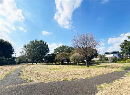 善福寺川緑地かりん広場まで150ｍ