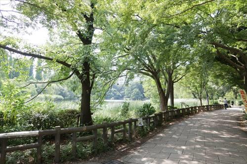 井の頭恩賜公園まで510ｍ