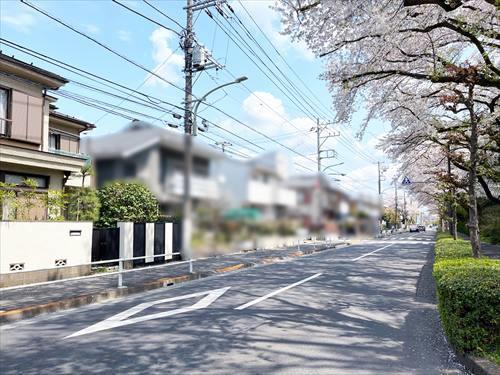 南側道路