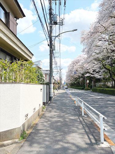 南側歩道