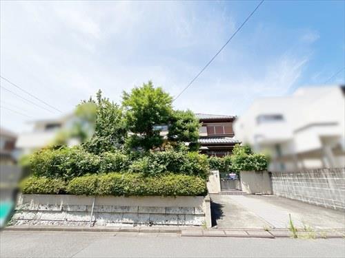 現地(2025年7月撮影）