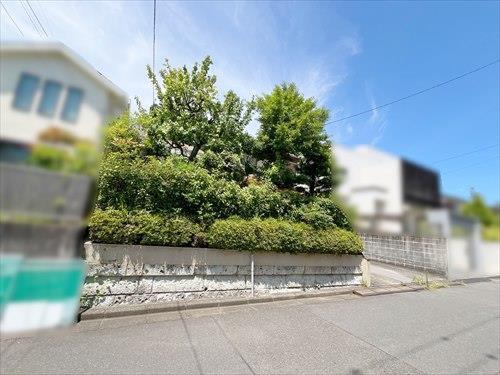 現地(2025年7月撮影）