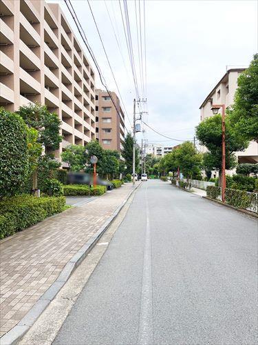 現地前道路